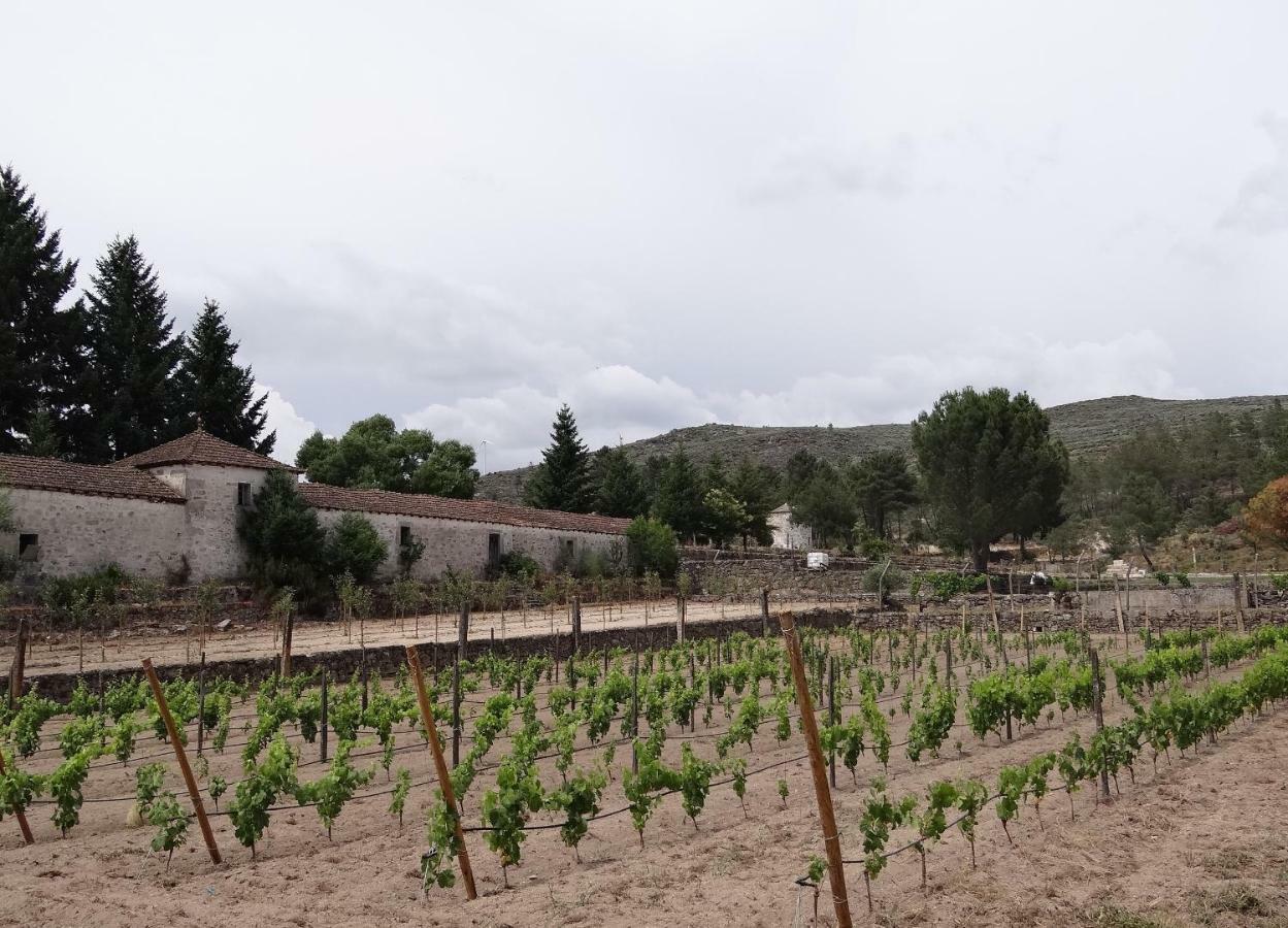בית הארחה Sernancelhe 	Museu Casa Aleixo מראה חיצוני תמונה